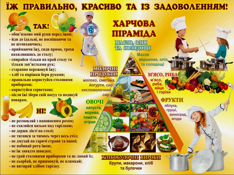 харчова пирамида.jpg